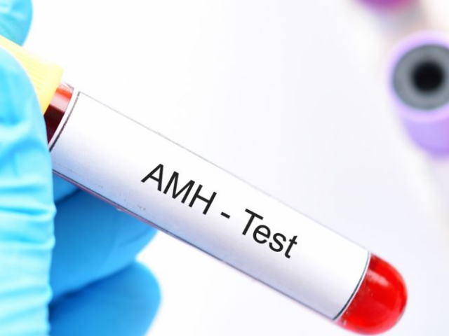 AMH – Ormone Antimulleriano